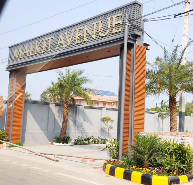 malkit avenue