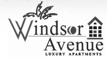 windsor apprtments ludhiana